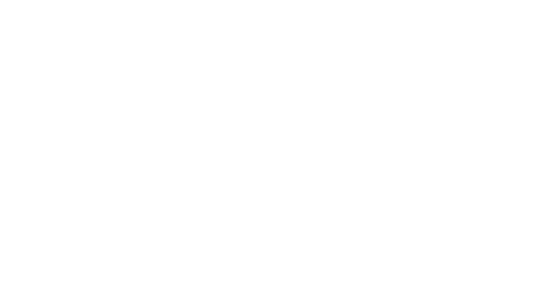 Moldovan Association of ICT Companies